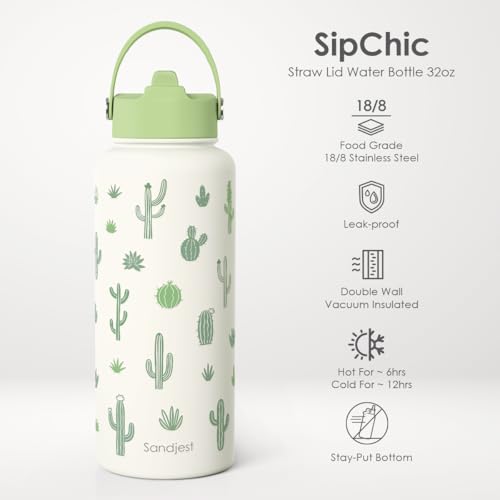 Cactus Gift for Women, Water Bottle Stainless Steel 32oz with Lid & Straw, Plants Lover Insulated Bottles Gifts for Girls Friends Teens Birthday Christmas - color: Cactus