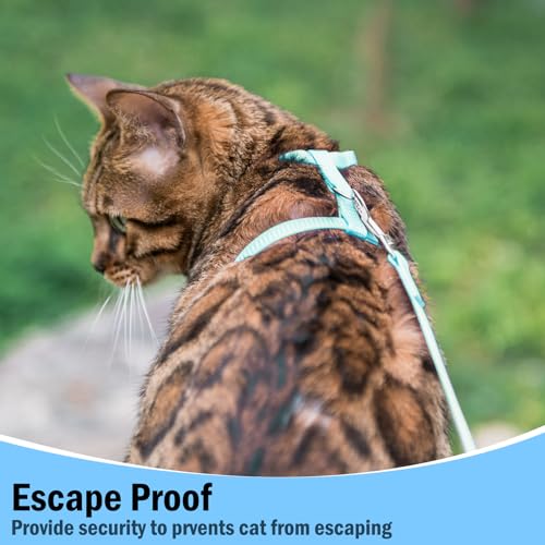 PUPTECK Adjustable Cat Harness and Leash Set Escape Proof Kitten Strap Collar for Walking Travel, SkyBlue - color: Sky Blue, size: Small
