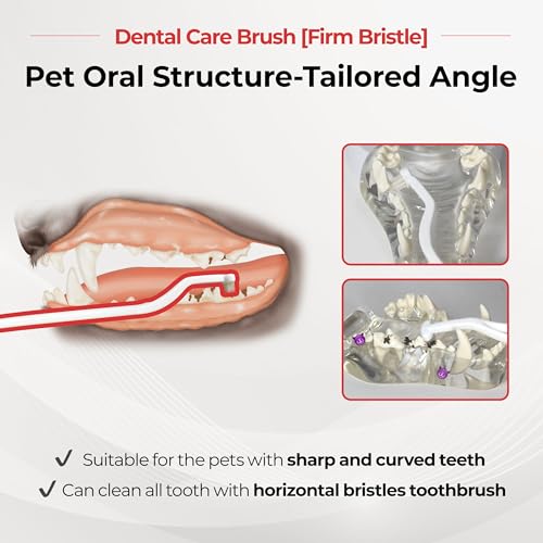 JAYU PET Dental Care Brush, Firm Bristles, 1ea | Resilient Dog Toothbrush, Cat Toothbrush, Tartar & Plaque Removal, Horizontal Head, S-Curved Body - color: Firm Bristles, size: 1 Count (Pack of 1)