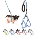 YeeBeny Mini Pig Harness Adjustable with Leash Foam Handle Blue, M | Adjustable Small Pig Harness with Leash Infinity Style Lead and Soft Foam Handle for Walking Training Jogging - color: Blue, size: M