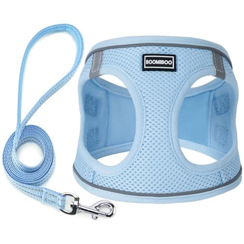Dog Harness with Leash Set, Step-in Adjustable Puppy Pet Vest,Sky Blue XXS | Lightweight Breathable Air Mesh, Night Safety Reflective, No Pull Puppy Vest Harnesses for Small Medium Large Dogs, Cats - color: Sky Blue, size: XXS(Chest:10"-12")