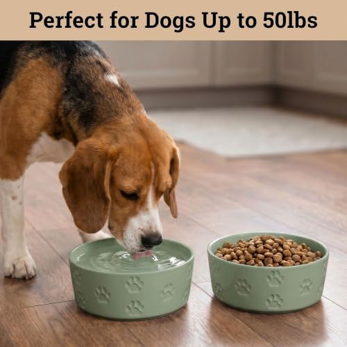 Ceramic Dog Bowl Set of 2 w/ Anti-Skid Base 6.5"W x 2.5"H, 3.8 Cup Capacity | Thick Ceramic, Dishwasher Safe, Anti-Skid Rubber Base, 3.8 Cups per Bowl, Ceramic Food & Water Bowls Set of 2 for Medium Dogs - color: Sage Green, size: Medium