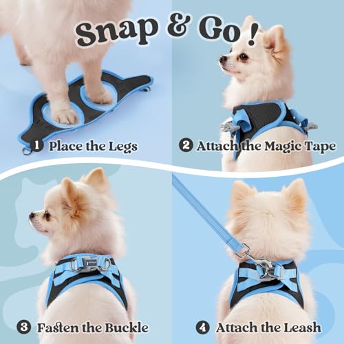 rabbitgoo Dog Harness Small Sized and Leash Set, Step in Soft Vest | Breathable Mesh, Easy Wear with Hook & Loop, Light and Reflective for Walking, Multi-colored, Black & Blue, XXS - color: Black & Blue, size: XXS (Chest: 12.4"-14.2")
