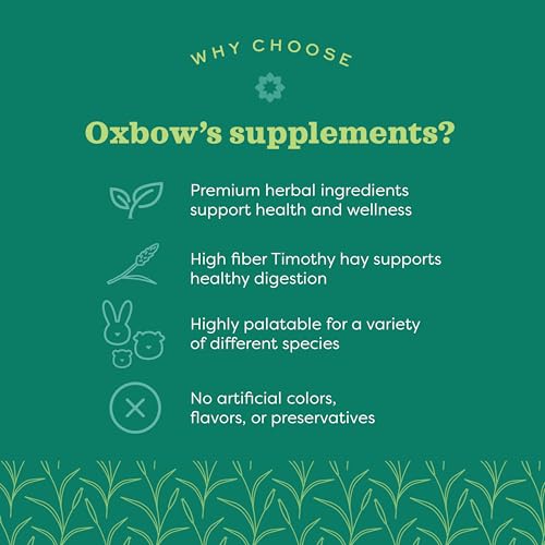 Oxbow Vitamin C Guinea Pig Supplement, High-Fiber Timothy Hay, 4.2 oz | Stabilized Vitamin C, High Fiber, Guinea Pig Vitamin C, Timothy Hay, Immune Health, Small Pet Supplies, Vet Recommended - size: 4.2 Ounce (Pack of 1)