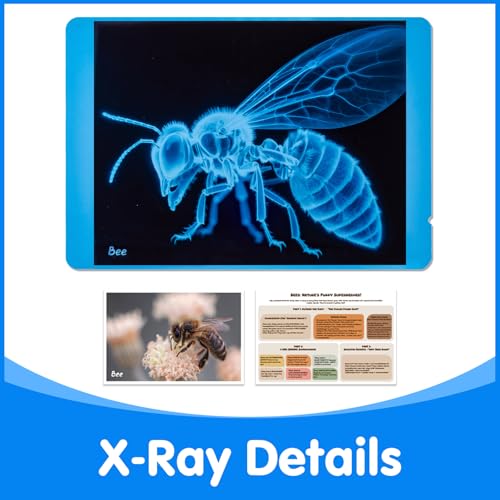 Insect Xrays – Bug Science Kit - Light Table Accessories | Bug Detectives for Kids, STEM Learning Insect X-Ray Set - style: Insect Series