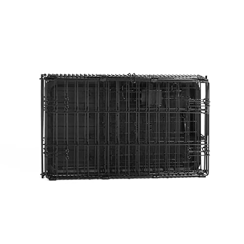 Amazon Basics Portable, Foldable Metal Wire Dog Crate with Removable Tray, Single Door, Divider Panel, Collapsible for Travel, 22 x 13 x 16 in, Black - size: 22.0"L x 13.0"W x 16.0"H, style: Single Door w/ Divider