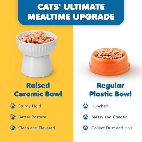 SunGrow Ceramic Cat Bowl with Stand, Suitable Eating Height for Pets, Raised Food Bowl, Mealtime for Your Cats, Stoneware Feeding Station