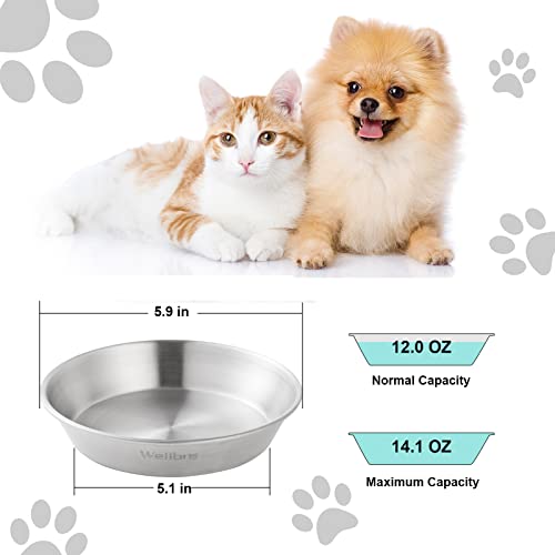 Cat Food Bowls, 2 Pcs Stainless Steel Cat Food and Water Bowls, Whisker Fatigue Shallow Cat Dishes, Small Dog Puppies Fat Faced Cat Kitten Supplies - color: 2 Basic Bowls