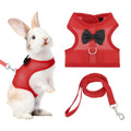 Rabbit Harness and Leash, Small Pet Cute Vest Harness Leash Soft Adjustable Buckle Breathable Mesh (M, Red) for Bunny Kitten Small Pig Puppies Camping Hiking Training - color: Red, size: M