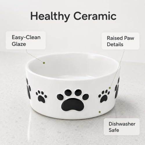 Ceramic Dog Bowls Set, 5''×2'', with Anti-Slip Rings, 2 Cups Capacity - size: 5 in