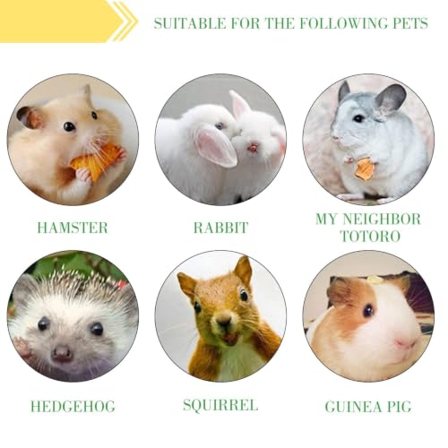 2lb Sweet Bamboo Chew Sticks for Rabbits & Guinea Pigs - Natural Molar Teething Treats, 60-75 Sticks, Dental Grinding Toys for Hamsters, Chinchillas, Rats & Small Animals - size: 2 Pound (Pack of 1)