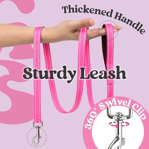 rabbitgoo Dog Harness Small Sized and Leash Set, Step in Soft Vest | Breathable Mesh, Easy Wear with Hook & Loop, Light and Reflective for Walking, Multi-colored, Black & Rose Red, XS - color: Black & Rose Red, size: XS (Chest: 13.3"-15.5")