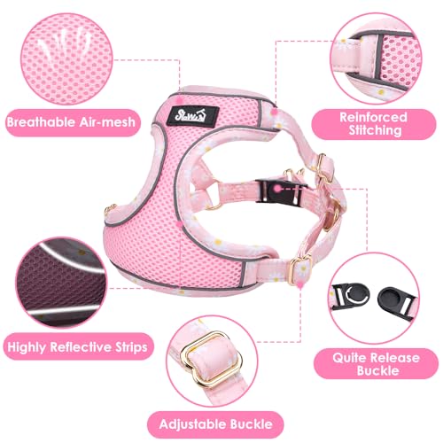 Lukovee Puppy Harness and Leash Set, No Pull Step in Lightweight Mesh Vest | Soft, Reflective, Easy Put on and off, Adjustable, Breathable Air Mesh, with 51in Leash for Walking Hiking (Pink, S) - color: Pink, size: Small (9-17.5 lb)