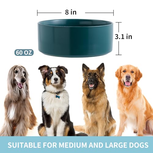 Green Raised/Elevated Ceramic Dog Bowl for Medium Large Sized Breeds,Large Dog Food Water Bowl with Stand,8 in Non Slip Heavy Weighted 1800ml/ 7.6 Cups/60 OZ - color: Green, size: 8 in