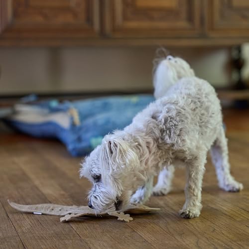 SPOT Skinneeez Leather Lizard – 15" Stuffing-Free Dog Toy with Real Leather & 2 Squeakers, Chew & Toss Toy for Small & Medium Dogs, Best for Light to Moderate Chewers - size: 15 Inch