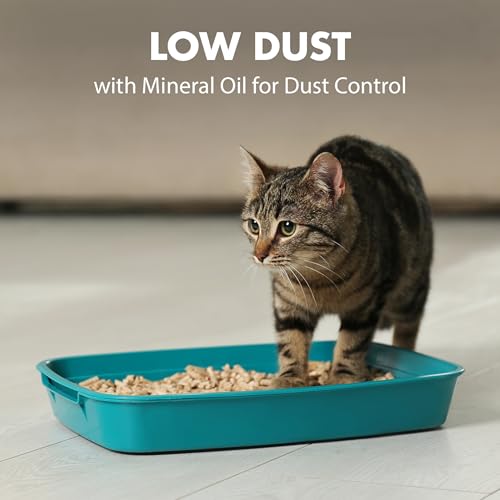 ARM & HAMMER Naturals Clumping Cat Litter, Multi Cat, 18 lbs | Plant-Based, Easy Scoop Clumps, Outstanding Odor Control, 2X Liquid Absorption, Low Dust, Lightweight Formula - size: 18 Lbs
