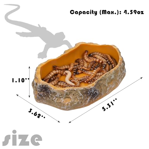 IBWell 5 Inch Reptile Food Dish Escape Proof Reptile Feeding Dish Resin Reptile Water Food Bowl for Bearded Dragon Chameleon Frog Snake Turtle Leopard Gecko - size: 5"