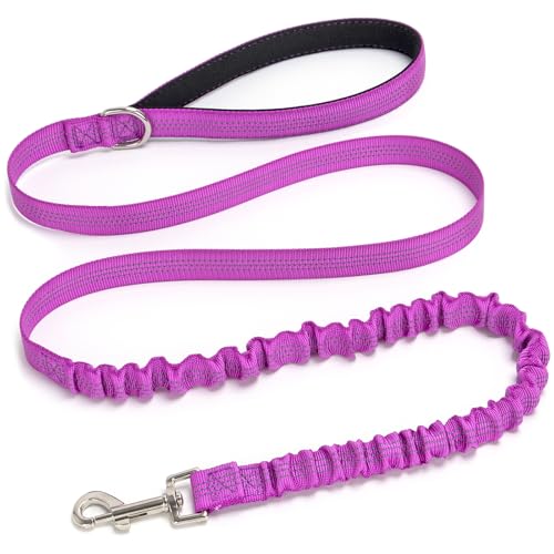 5FT Bungee Dog Leash Shock Absorbing Reflective Nylon Lead 2cm Wide | Soft Handle- Lightweight- Anti-Pull Training for Small/ Medium Dogs- 6 Colors (purple) - color: Purple