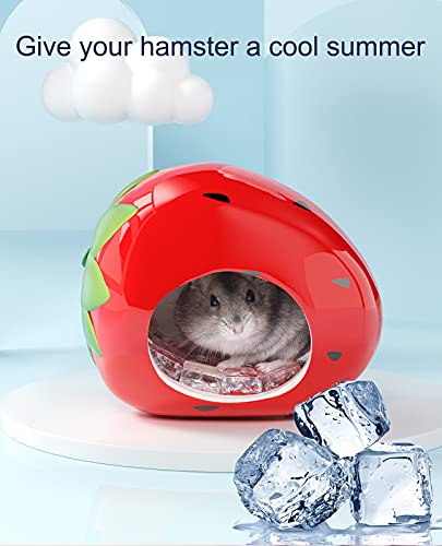 Besimple Hamster Hideout, Small Animal Hideout Ceramic Pet House, Adorable Shape Hamster House Cave Mini Hut Cage Critter Bath House for Chinchilla(Strawberry)