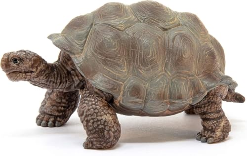 Schleich Wild Life - 3" Galapagos Giant Tortoise Figure - Realistic Turtle Toy for Boys and Girls - Wild Animal Educational Toy - Zoo Wildlife Figurine for Toddlers and Kids Ages 3+ | 13337