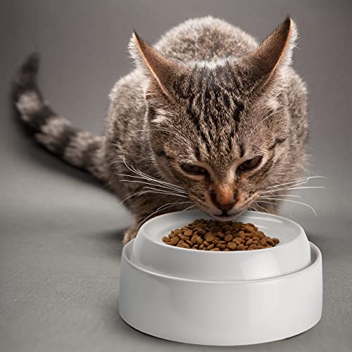CatGuru Cat Bowls, Whisker Friendly Food Bowl for Indoor Cats, Reliefs Whisker Fatigue, Wide Kitten Dish, Non Slip Pet Dishes, Shallow Pet Plates (Marshmallow, (Pack of 2)) - color: Marshmallow, size: Dish - Set of Two
