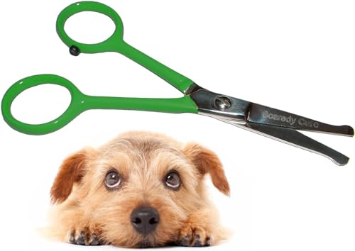 Tiny Trim 4.5" Ball-Tipped Scissor for Dog, Cat and all Pet Grooming - Ear, Nose, Face & Paw - Scaredy Cut's small Safety Scissor - color: Green