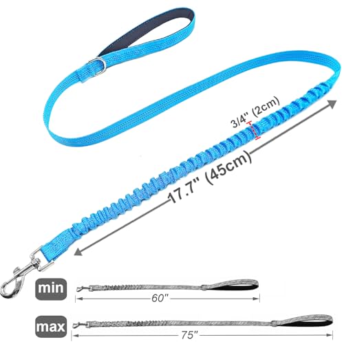 5FT Bungee Dog Leash Shock Absorbing Reflective Nylon Lead 2cm Wide | Soft Handle- Lightweight- Anti-Pull Training for Small/ Medium Dogs- 6 Colors - color: Teal