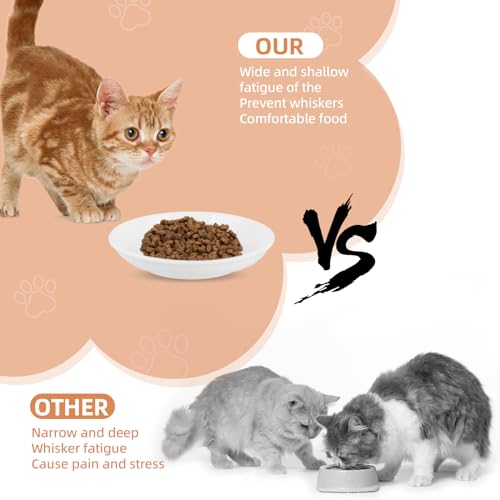 6 Pack Cat Food Bowl, Ceramic Cat Bowls, Anti Whisker Fatigue Cats Bowl Set | 5.5 Inches Shallow Wide Kitten Plates for Food and Water (White-D) - color: White-D
