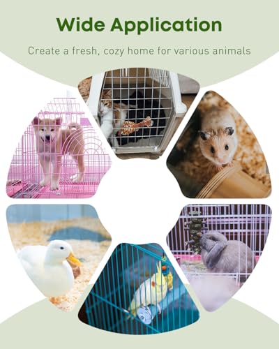 Pawfly 2 Pcs Bird Cage Cleaner Brush, 2-in-1 Bird Cage Cleaning Brush, Bird Poop Remover for Perches, Kennels & Small Animal Cages, Bird Cage Accessories, Bird Droppings Removal Brush - color: Green