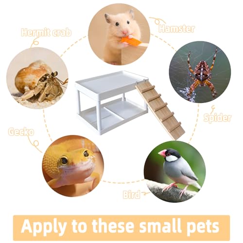 Hamiledyi Hamster Cage Platform Plastic Syrian Hamster Platform with Wood Ladder Stand Climbing Toy for Gerbil Mice Sugar Glider Rat