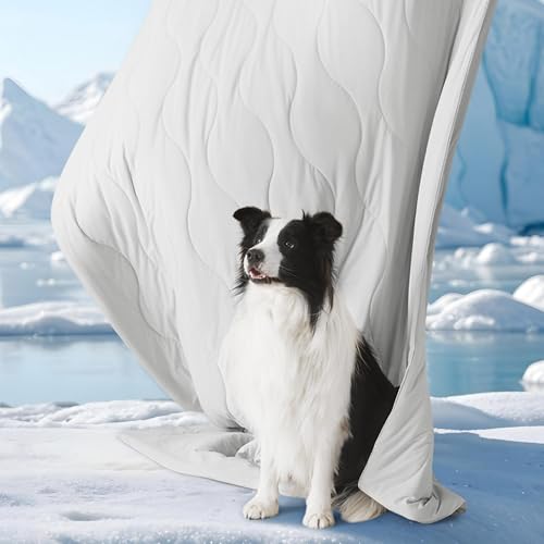 Bedsure ArcticMax™ Q-MAX>0.5 Premium Cooling Blanket for Medium Dogs，30x40 | Breathable Summer Washable Throw, Dog Blanket Cooling Mat Pad, Soft Durable Cold Self Cooling Pet Mat for Hot Weather，Grey - color: Pearl Grey, size: M(30x40")