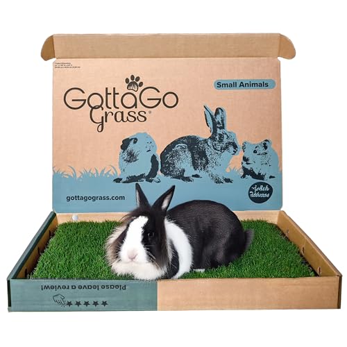 Gotta Go Grass for Small Animals – Natural Real Grass Bedding & Pet Resting Pad, Grass Potty Pad for Rabbits, Guinea Pigs, Hamsters, and Small Pets, Odor Absorbent Grass Mat (With Tray 16" x 24") - size: With Tray 1- Pack