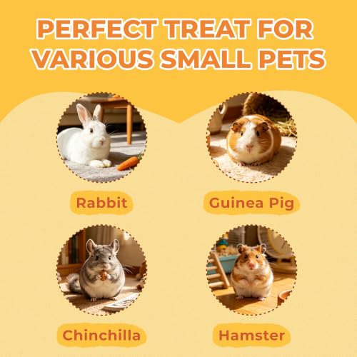 Zoody Multivitamin Vitamin C Timothy Hay for Rabbit, Guinea Pigs 4 oz | Healthy Rabbit treats, Vitamin C for Guinea Pigs, Hamsters, Rat food, Small Pet Supplies