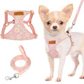 Lukovee Puppy Harness and Leash Set, No Pull, Lightweight Step in Vest | Adjustable, Soft Suede Vest, Easy Put on and off Pet Harness with Snap Buckle & 51in Leash for Small Medium Dogs (Pink, XXS) - color: Pink Daisy, size: XX-Small ( 2.2-6lb )