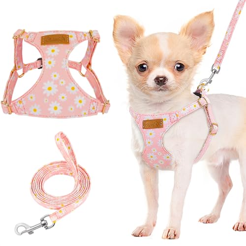 Lukovee Puppy Harness and Leash Set, No Pull, Lightweight Step in Vest | Adjustable, Soft Suede Vest, Easy Put on and off Pet Harness with Snap Buckle & 51in Leash for Small Medium Dogs (Pink, XXS) - color: Pink Daisy, size: XX-Small ( 2.2-6lb )