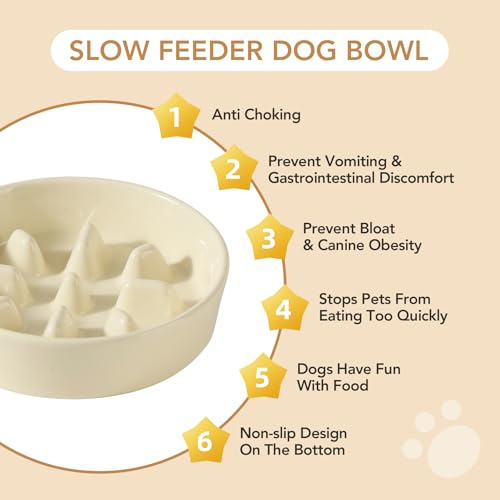 Havniva Elevated Slow Feeder Dog Bowls, Ceramic Dog Bowl Slow Feeder Set | 1.2 Cups Raised Slow Feeder Dog Bowl for Small Breed, 6.1” Dog Water Bowl with Wooden Stand, Puzzle Dog Food Bowl, Non-slip - color: Light Yellow