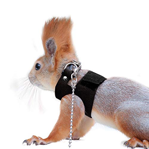 Squirrel Traction Rope with 1.8m Lead Leah, Adjustable Small Animal Walking Harness, Anti-Biting Chain Rope Vest Strap for Hamster Gerbil Rat Mouse Ferret Chinchilla and Small Animals - color: Black