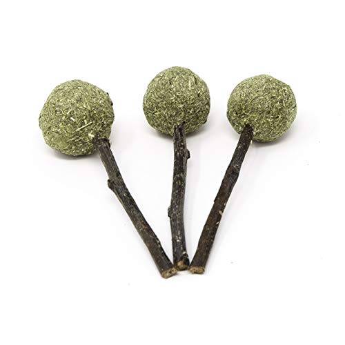 Oxbow Timothy Hay Pops, Rabbit & Guinea Pig Toys, Bunny Enrichment Toys | Rabbit Chew Toys, Guinea Pig Enrichment, Guinea Pig Chew Toys, Rabbit Enrichment, Natural Materials, Small Pet Accessories - size: .08 LB