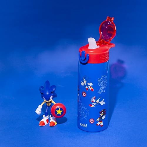 Zak Designs Sonic the Hedgehog Sage 19oz Leak-Proof Straw Kids Water Bottle | BPA Free, Insulated Stainless Steel, Cupholder Friendly, Dishwasher Safe, Lid Lock, Handle, For School, Home, Travel, Outdoor - color: Sonic the Hedgehog (Sage)