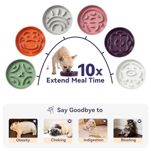 Ceramic Slow Feeder Dog Bowl, 0.8 Cups Anti -Slip Slow Feeding Bowl to Slow Down Eating, 6.3 Inch Dog Food Dish for Small Breeds, Purple - color: Purple, size: Small