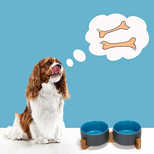 SPUNKYJUNKY Ceramic Dog and Cat Bowl Set with Wooden Stand, Modern Cute Weighted Food Water Set for Small Size Dogs (13.5OZ) & Medium Sized Dogs (28.7OZ) & Cats (3.6 Cups, 2 × Blue-Grey) - color: Blue-Grey × 2, size: 3.6 cups