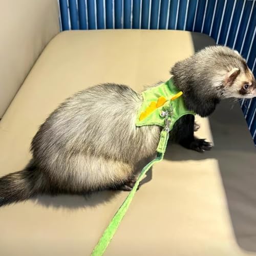 Ferret Harness and Leash Set Cute Dinosaur Design Soft Mesh Small Pet Harness Vest with Safe Bell Walking Clothes for Small Animals Ferret Rabbit Guinea Pig Squirrels (Green) - color: Green