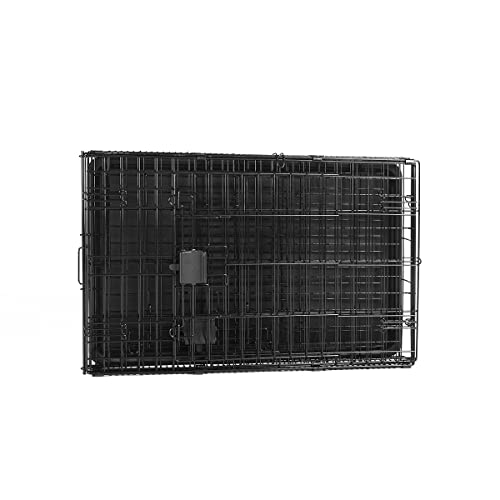 Amazon Basics Portable, Foldable Metal Wire Dog Crate with Removable Tray, Double Door, Divider Panel, Easy to Assemble, 30 x 19 x 21 in, Black - size: 30.0"L x 19.0"W x 21.0"H, style: Double Door w/ Divider