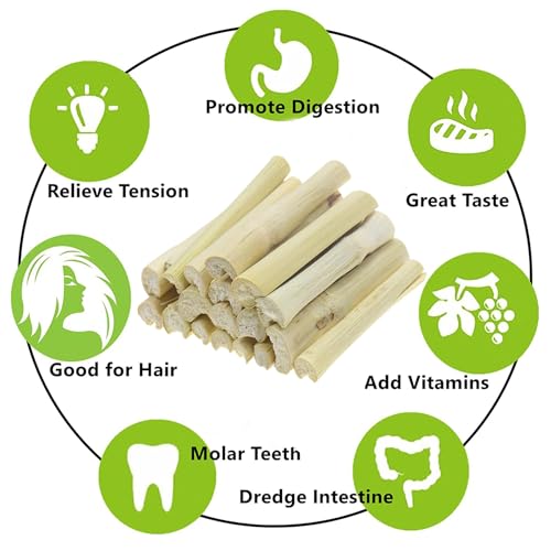 400g Sweet Bamboo Sticks Bunny Chew Natural Hamster Molar Treat - style: 400g (Sweet Bamboo)