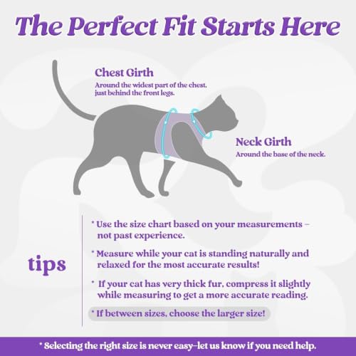 rabbitgoo Cat Harness and Leash Set, Step-in Soft Vest, Purple | Escape Proof, Lightweight, Easy-on & Adjustable, Hook & Loop with Buckle, Reflective, for Kittens & Small Cats Walks, S - color: Purple, size: S