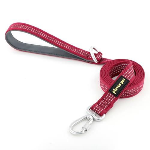 Plutus Pet Heavy Duty Dog Leash with Lockable Aluminum Carabiner, 4 FT Long | Double-Sided Reflective Nylon, Padded Handle, Heavy Duty, for Puppy Small Medium and Large Dogs (Red, 1" x 4') - color: Burgundy Red, size: 1" x 4'
