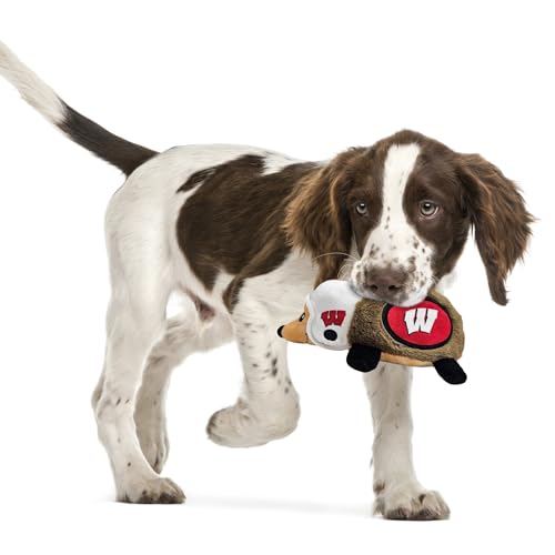 NCAA Wisconsin Badgers Plush Hedgehog Toy for Dogs & Cats, Cool Soft Pet Toy for Fun and Interactive Play, Dog Chew Toy with Squeaker, Licensed Hot Pet Toy - color: Wisconsin Badgers