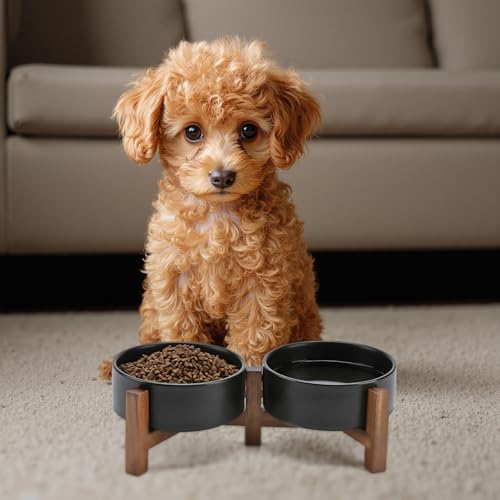 SPUNKYJUNKY Ceramic Dog Bowls with Acacia Wood Stand - Raised Dog Food and Water Bowl Set for Small Dogs (13.52 OZ, Black) - color: Black, size: 13.52 Oz