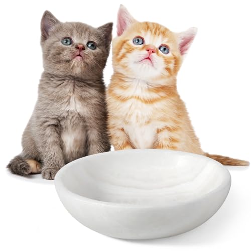 White Cat Bowl, Marble Food and Water Bowl for Cat and Small Dog, Heavyweight 1.5lb Non-Tip Pet Food Dish with Slip-Proof Pad, Premium Stone Feeder for Elegant Home Decor - color: Namib Fantasy