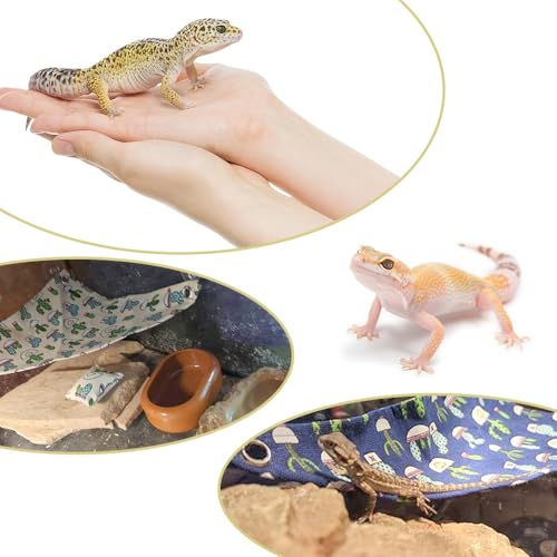 DQITJ 2 Pcs Reptile Hammock with Small Pillow Swing Hanging Bed Lounger Ladder with Adhesive Hooks and Suction Hook for Lizard Leopard Gecko Bearded Dragon Rat (Beige and Blue)